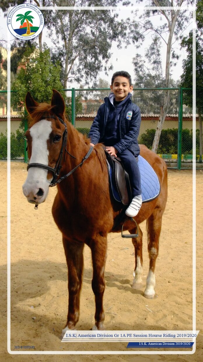 Horse Riding Session