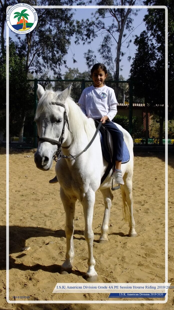 Horse Riding Session