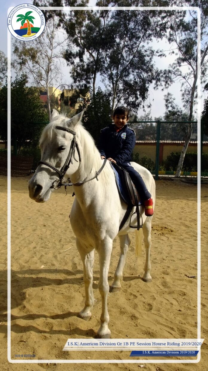 Horse Riding Session