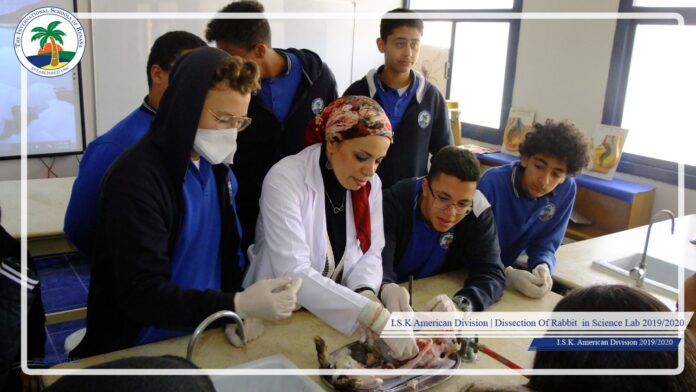 I.S.K American Division | Dissection Of Rabbit in Science Lab (Grade 5,8&10 ) 2019/2020