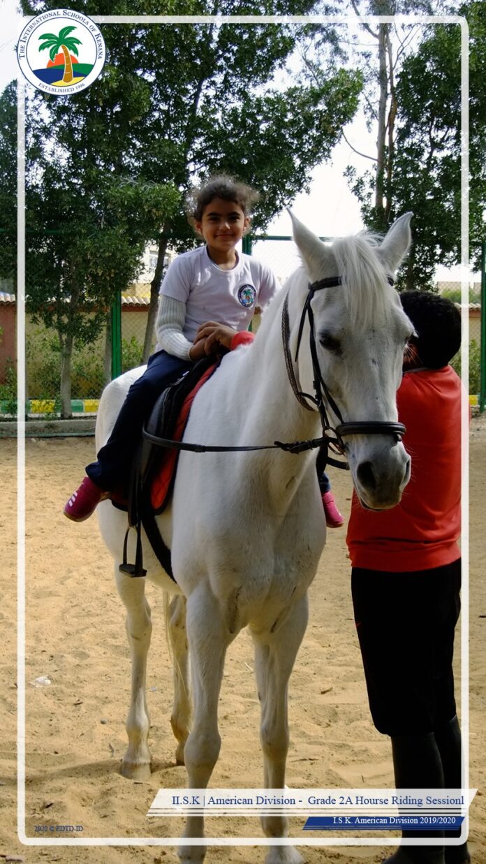 Horse Riding Session