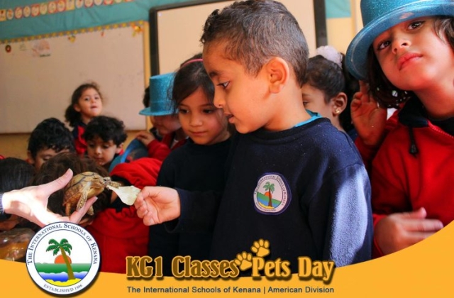 KG1 Classes - Pets Day