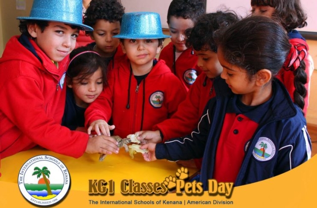 KG1 Classes - Pets Day