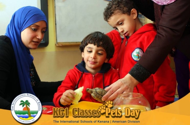 KG1 Classes - Pets Day