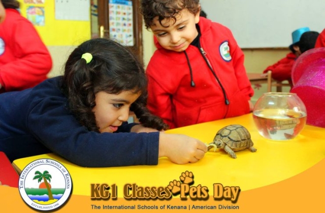 KG1 Classes - Pets Day