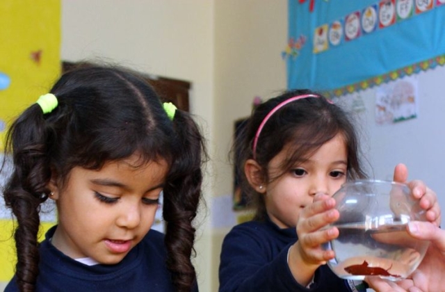 KG1 Classes - Pets Day