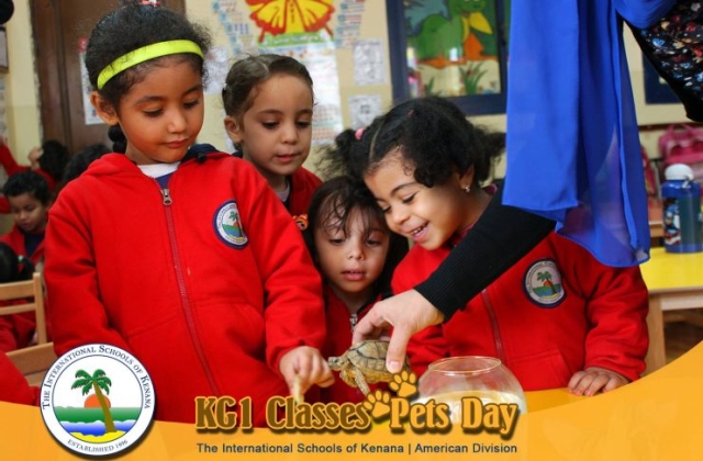 KG1 Classes - Pets Day