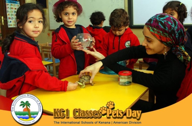 KG1 Classes - Pets Day