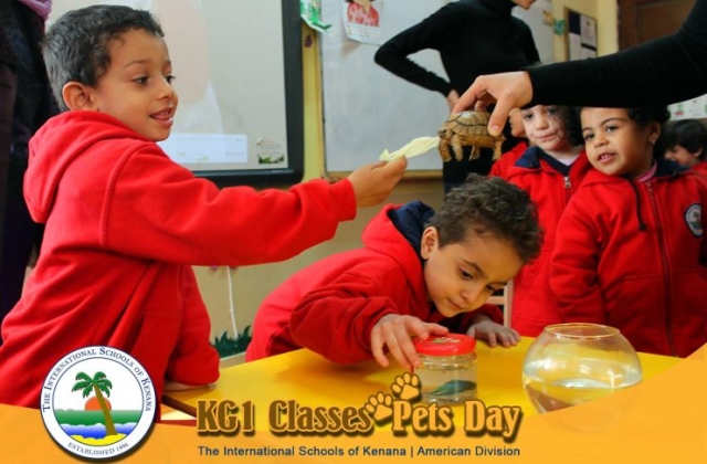 KG1 Classes - Pets Day