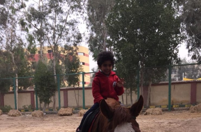 The International Schools of Kenana- American Division Horse Riding Session (P.E) Pre