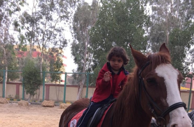 The International Schools of Kenana- American Division Horse Riding Session (P.E) Pre