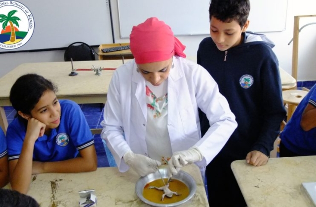 I.S.K American Division | Dissection Of Frog in Science Lab (Grade 8 & 10) 2019/2020