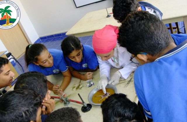 I.S.K American Division | Dissection Of Frog in Science Lab (Grade 8 & 10) 2019/2020