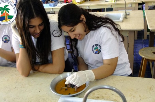 I.S.K American Division | Dissection Of Frog in Science Lab (Grade 8 & 10) 2019/2020