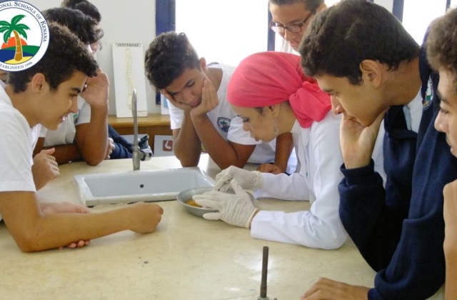 I.S.K American Division | Dissection Of Frog in Science Lab (Grade 8 & 10) 2019/2020