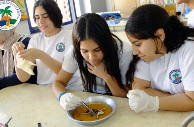 I.S.K American Division | Dissection Of Frog in Science Lab (Grade 8 & 10) 2019/2020