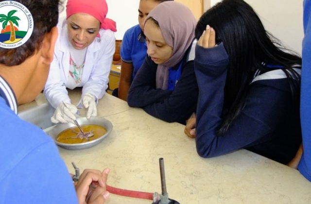 I.S.K American Division | Dissection Of Frog in Science Lab (Grade 8 & 10) 2019/2020