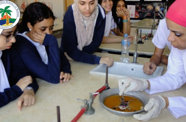 I.S.K American Division | Dissection Of Frog in Science Lab (Grade 8 & 10) 2019/2020