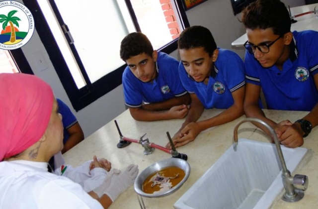 I.S.K American Division | Dissection Of Frog in Science Lab (Grade 8 & 10) 2019/2020