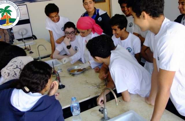 I.S.K American Division | Dissection Of Frog in Science Lab (Grade 8 & 10) 2019/2020