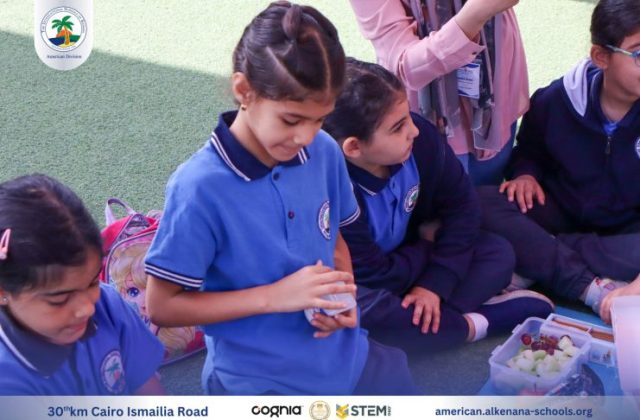 I.S.K-American Division | German Activity Grade 2 | 2024-2025