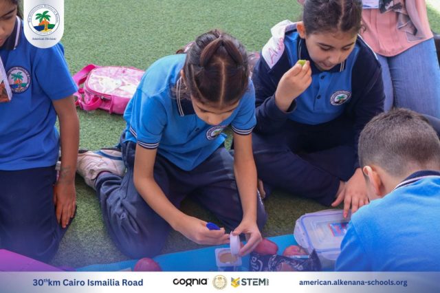 I.S.K-American Division | German Activity Grade 2 | 2024-2025