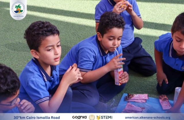 I.S.K-American Division | German Activity Grade 2 | 2024-2025