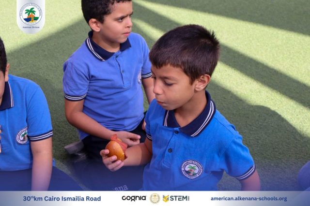 I.S.K-American Division | German Activity Grade 2 | 2024-2025