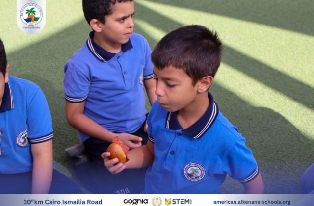 I.S.K-American Division | German Activity Grade 2 | 2024-2025