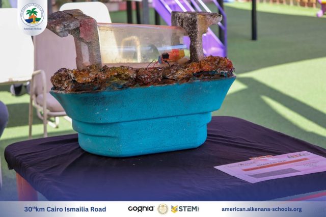 I.S.K-American Division | Annual STEAM Fair "Build Up!" | 2024-2025