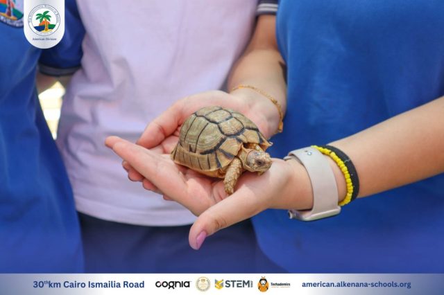 I.S.K-American Division | Steam Fair Event (Middle & High Stage) | 2024-2025