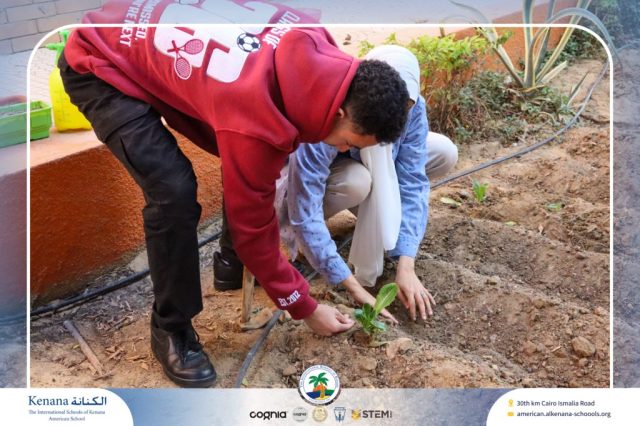 🧑‍🌾Seedling Transplanting and Setting Up the First Manual Irrigation System in the Field – Grade 12 A, B and C | 2025-2026