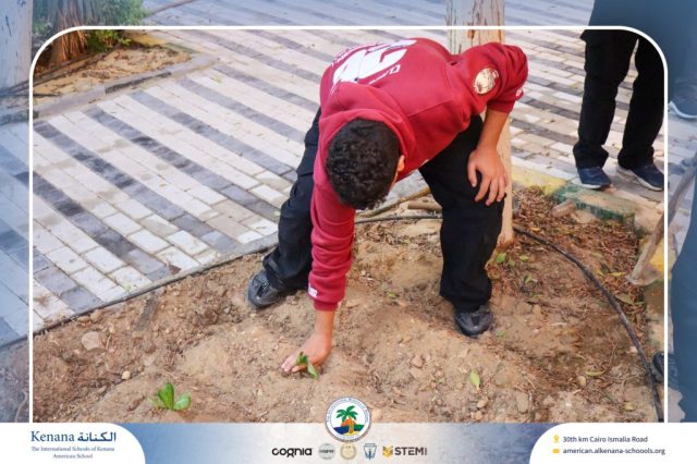 🧑‍🌾Seedling Transplanting and Setting Up the First Manual Irrigation System in the Field – Grade 12 A, B and C | 2025-2026