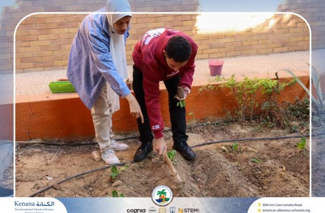 🧑‍🌾Seedling Transplanting and Setting Up the First Manual Irrigation System in the Field – Grade 12 A, B and C | 2025-2026