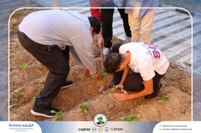 🧑‍🌾Seedling Transplanting and Setting Up the First Manual Irrigation System in the Field – Grade 12 A, B and C | 2025-2026