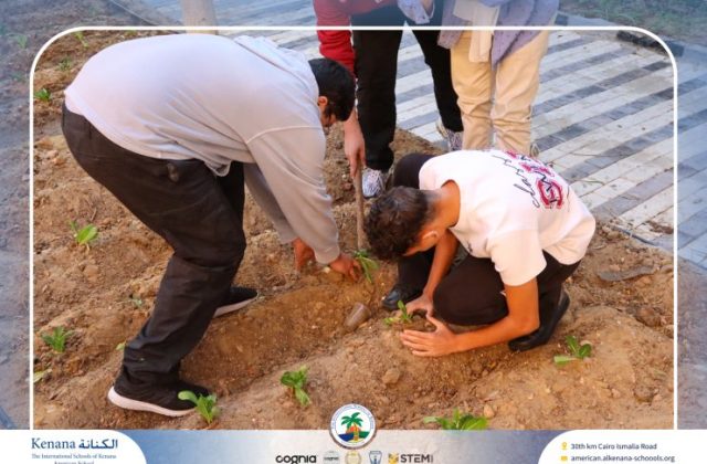 🧑‍🌾Seedling Transplanting and Setting Up the First Manual Irrigation System in the Field – Grade 12 A, B and C | 2025-2026