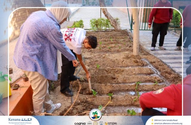 🧑‍🌾Seedling Transplanting and Setting Up the First Manual Irrigation System in the Field – Grade 12 A, B and C | 2025-2026