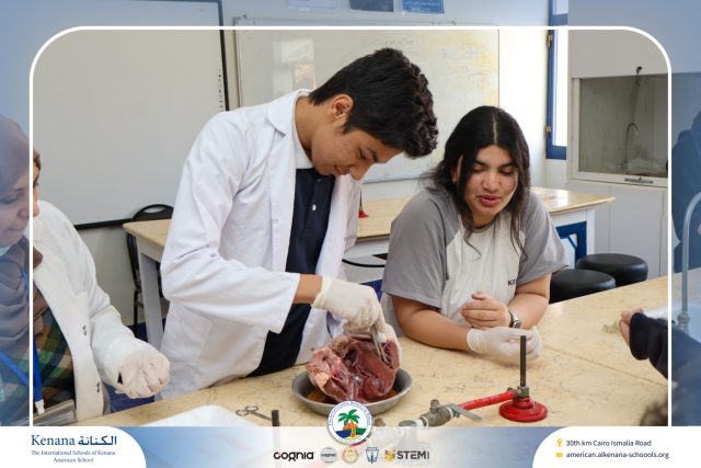 I.S.K American School | Dissection Of Heart Gr.10A | 2025-2026