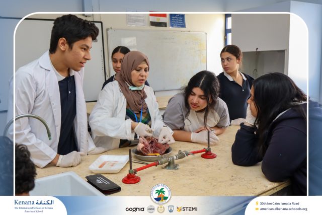 I.S.K American School | Dissection Of Heart Gr.10A | 2025-2026