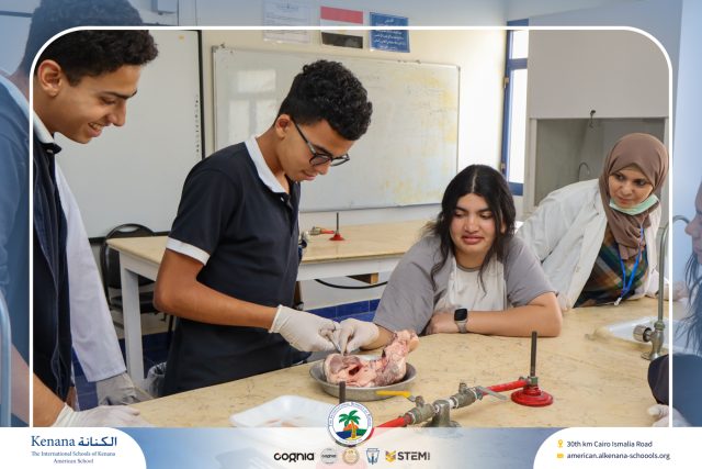 I.S.K American School | Dissection Of Heart Gr.10A | 2025-2026